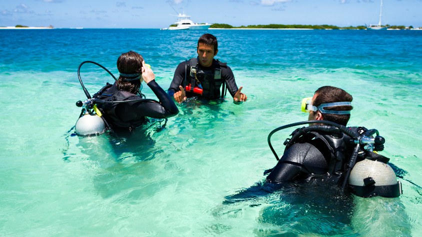 Scuba divers swimming among grey reef sharks in Raja Ampat