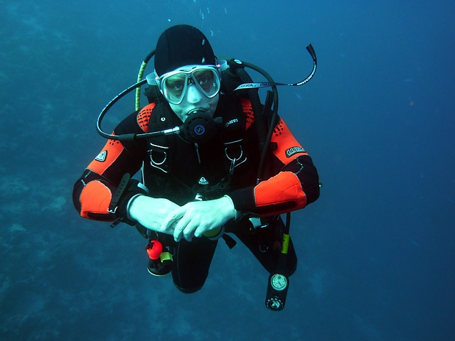 dive, underwater, water