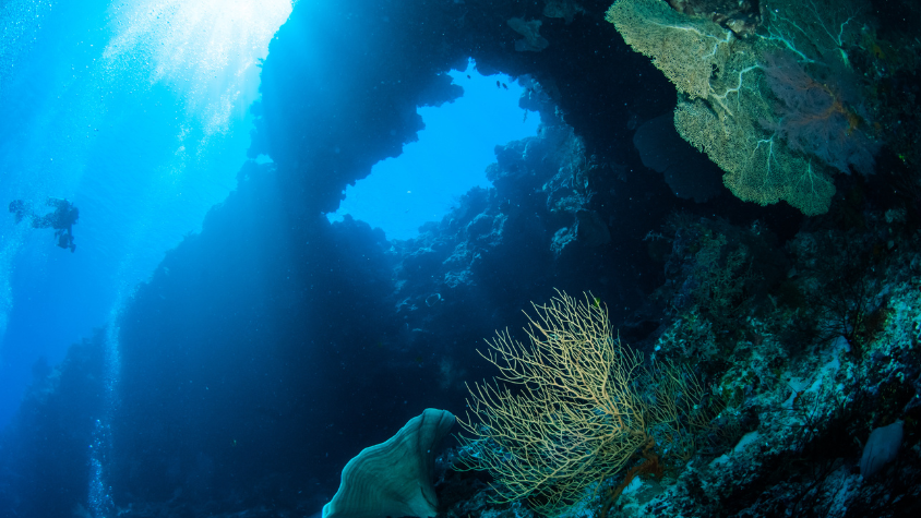 Banda Sea