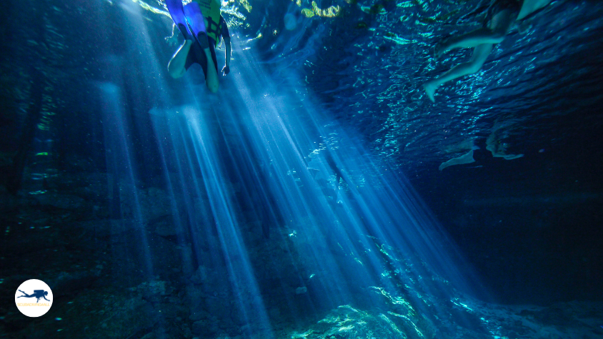 Cenote Diving