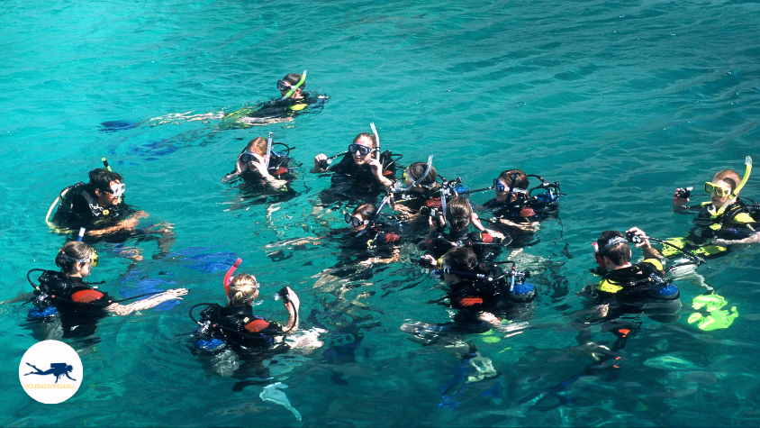 An image showing a dive master leading a group of divers in a workshop on underwater navigation and safety.