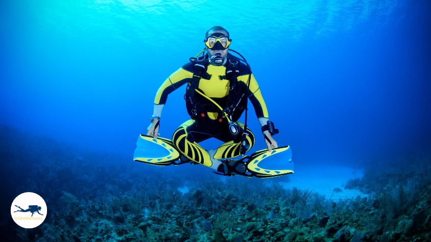 A group of certified divers deep diving in an underwater environment