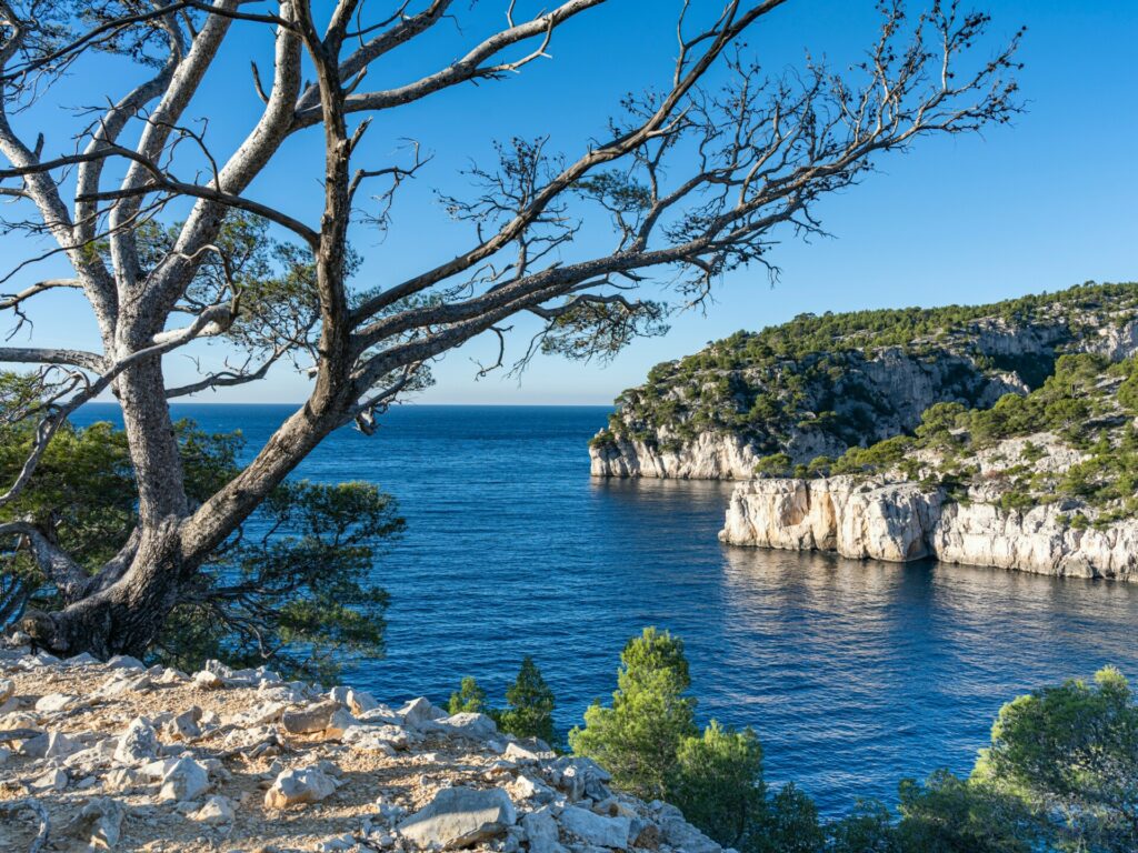 plongée calanques